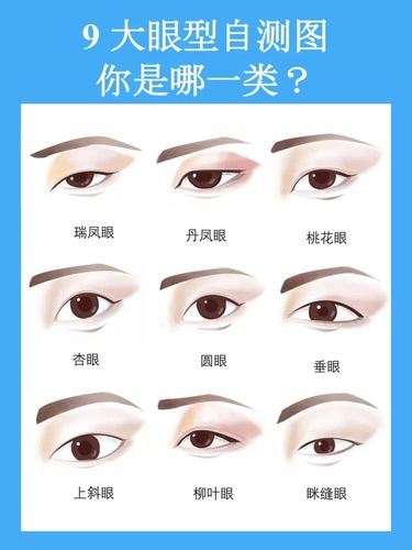 吊眼与丹凤眼的区别