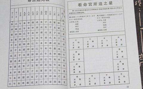 农历二月十六出生的命
