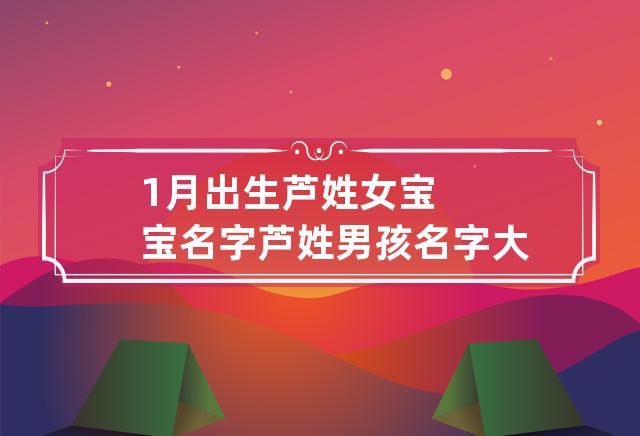 姓芦的女孩名字两字优雅大气的名字有哪些