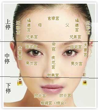 命好的女性面相分析大全,面相中的三停是什么?