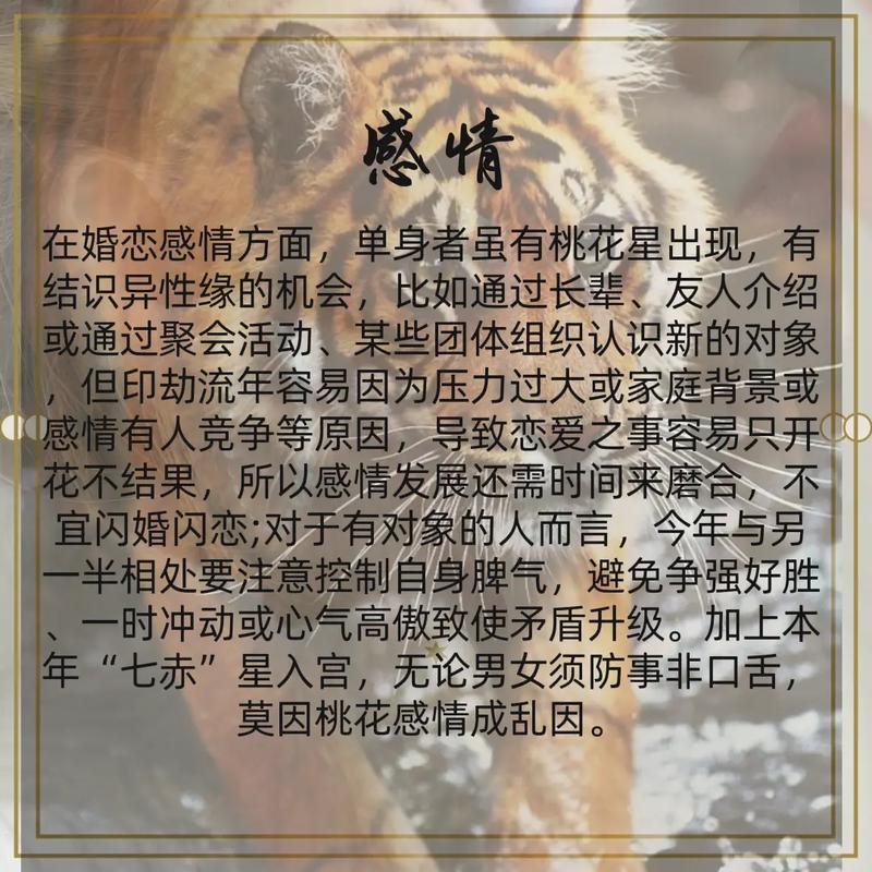 2023属虎的运势和财运每月