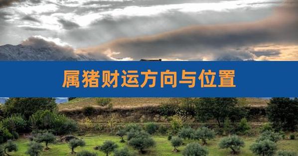 属猪2022年财运位在哪个方向