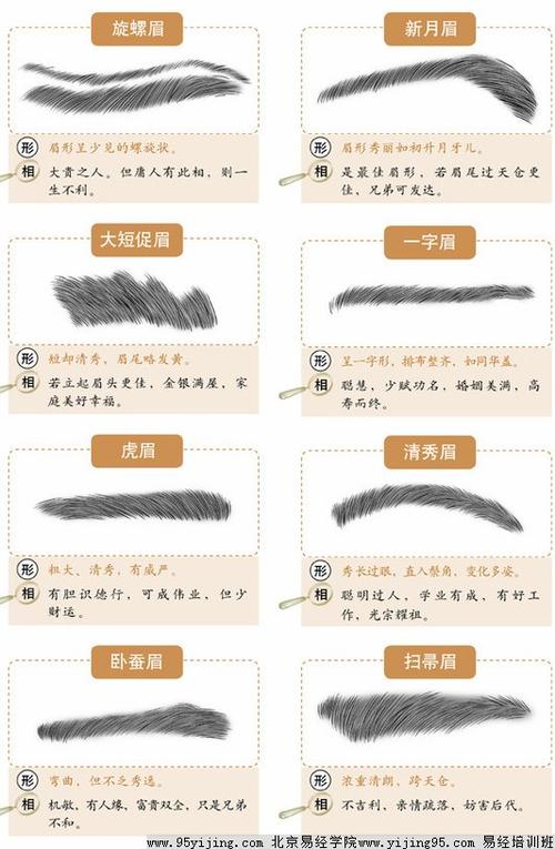 眉毛面相分析运势图解