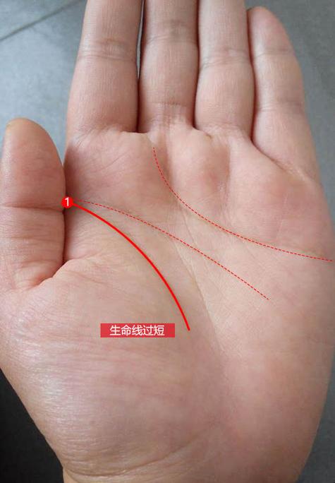 手相算命:生命线短寿命就短吗