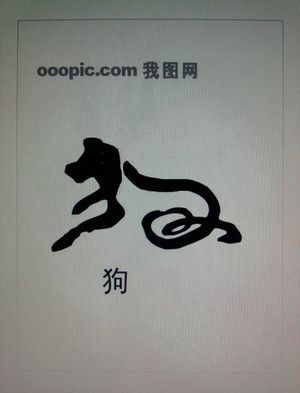 临危不惧,值得信赖的生肖