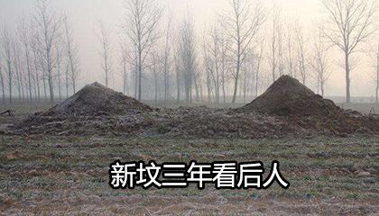 新坟不能经常去看吗