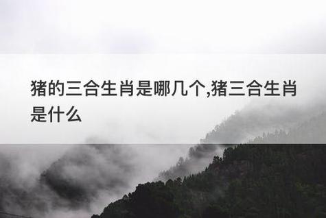 属猪的三不合是什么生肖,属猪人要远离哪些生肖