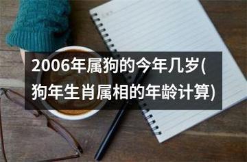 生肖属狗运程:2006年丙戌年出生的人运势大解析