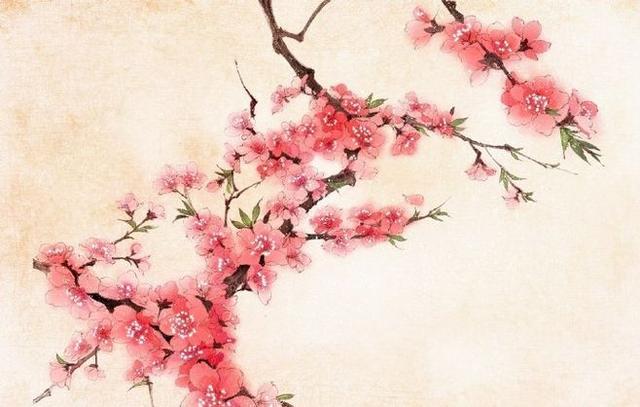 算卦说的蓝桃花是什么意思