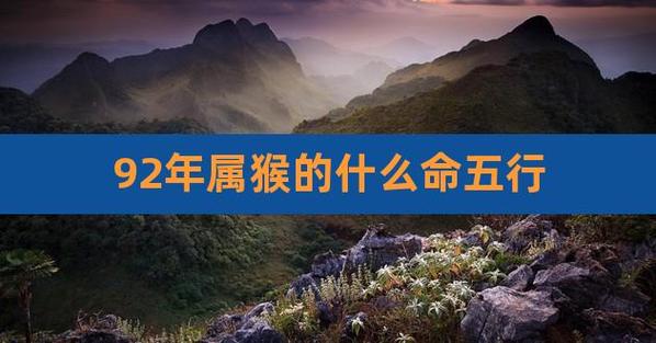 1992年属猴的人什么命