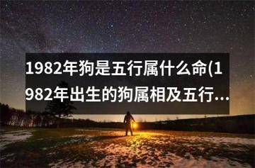 属狗的人和属羊的人相结合好不好?属羊人住几层楼最旺?
