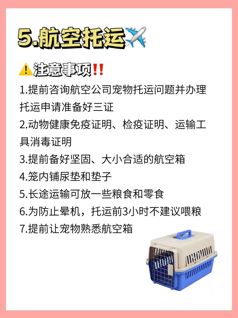 梦见过年回家狗狗送人