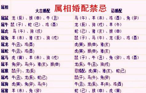 属龙和什么属相相冲