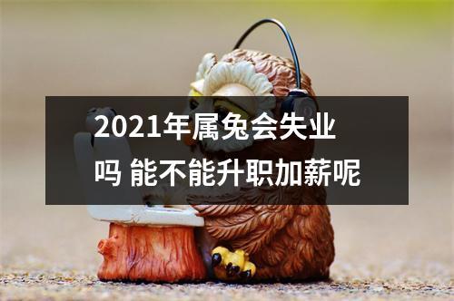 属兔人2021年十月升职加薪可能性大吗