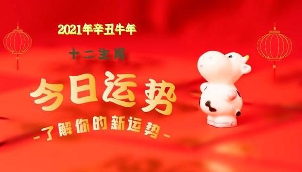 属猪的四大桃花年,如何催旺桃花