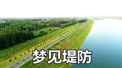 梦见堤防代表什么意思