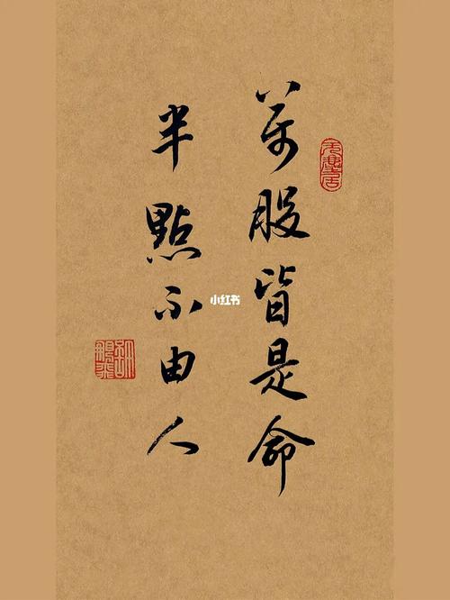 婚姻万般皆有命半点不由人
