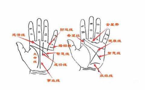 如何透过手掌八丘透视你财运