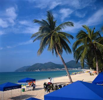 梦见站在海岸上