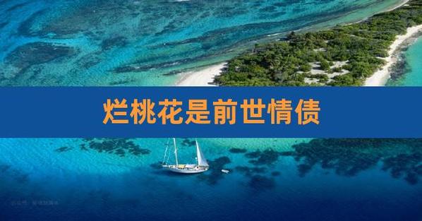 烂桃花是前世情债