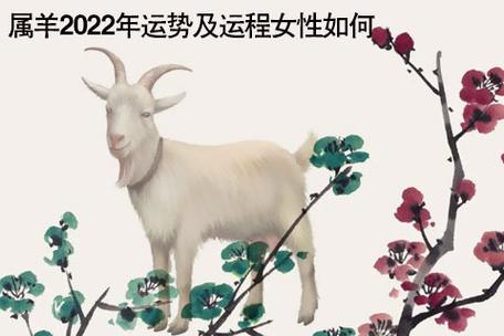 2022上半年婚姻运势属羊女人