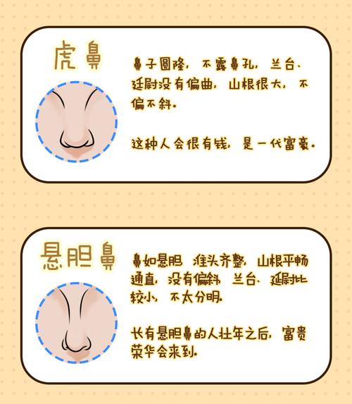 鼻型对理财很重要