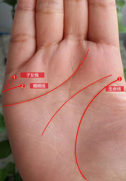 女人手相子女线怎么看