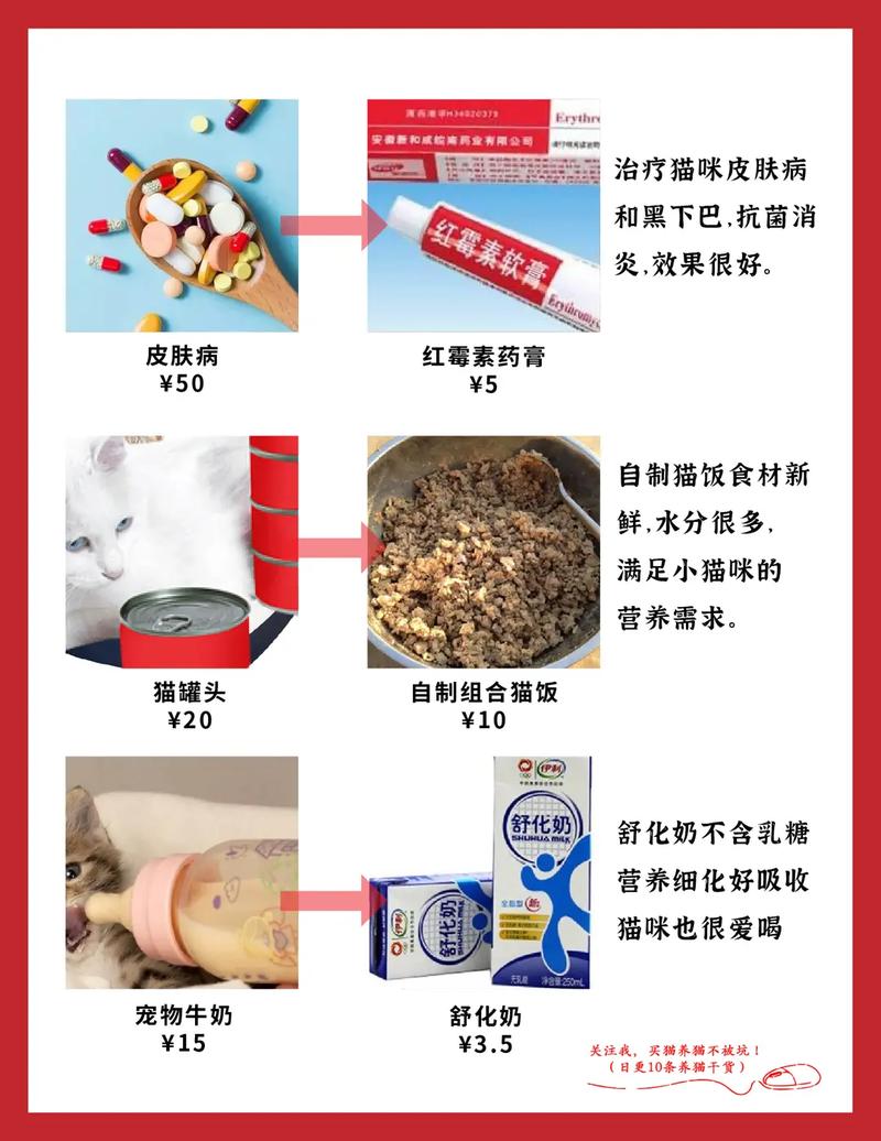 属狗的人养猫会不会相冲