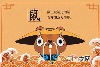 属鼠的人身上最吸引异性的特质
