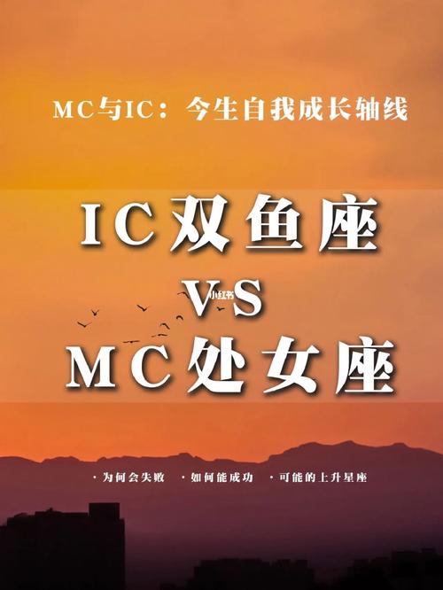 耍帅失败 处女座如何应对
