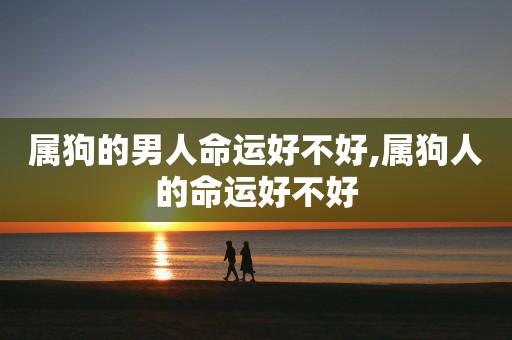 男人属狗好不好