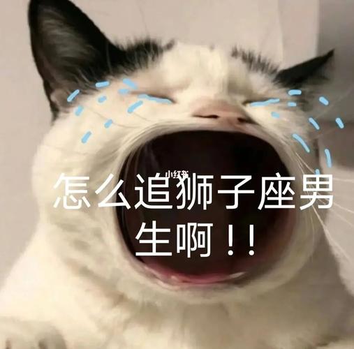 对狮子男高冷就对了