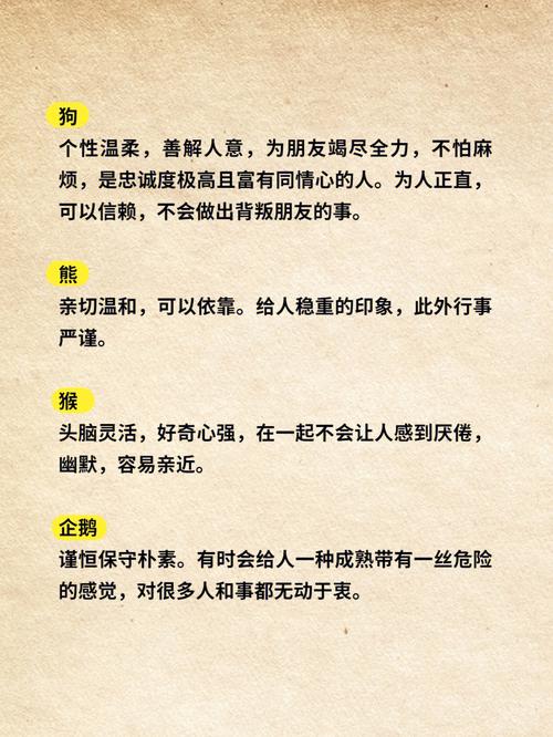 测试别人眼中的你