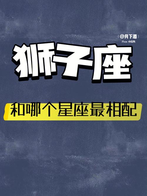 狮子座分手后很有距离感