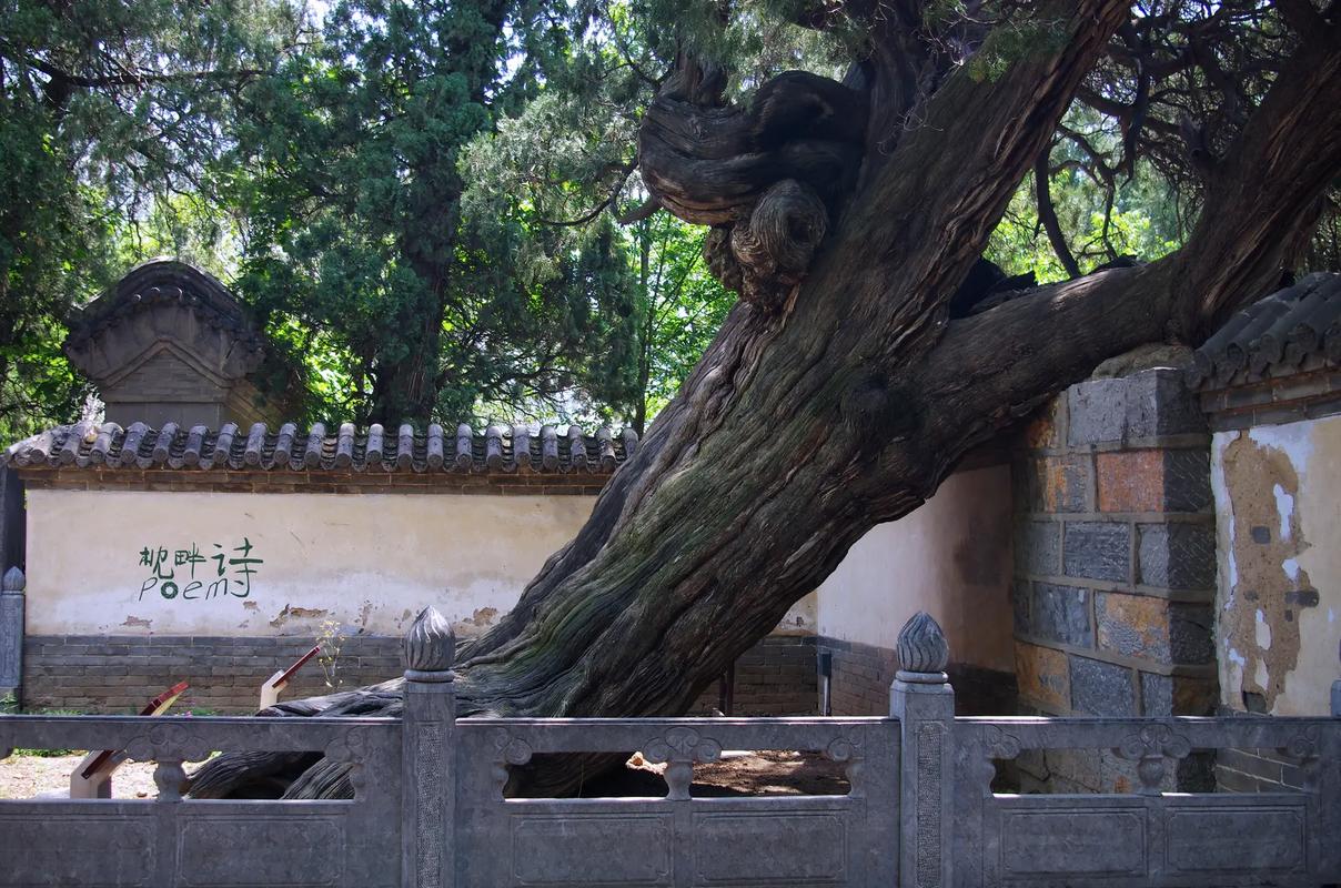 梦见石幢 纸幢怎么回事 梦见石幢 纸幢有什么预兆
