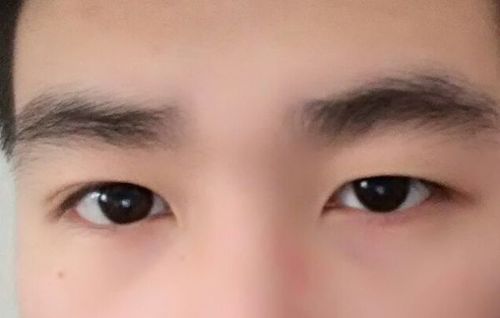 一个单眼皮一个双眼皮的男人面相