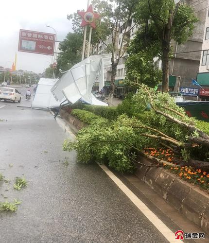 梦见大风吹大树怎么回事