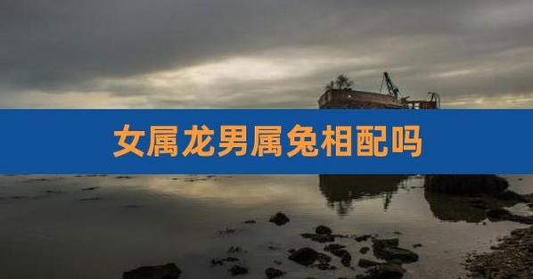 男龙和女兔婚姻会永久么？属兔人生于戍时好吗？