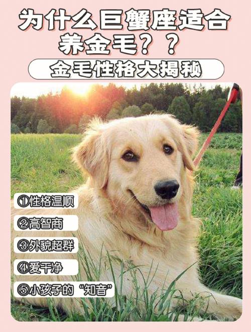 巨蟹座适合养什么宠物