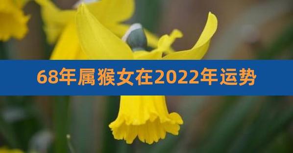 属猴女人2022年3月事业运程预测
