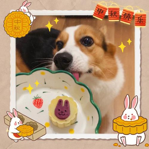 生肖狗中秋出游最强攻略
