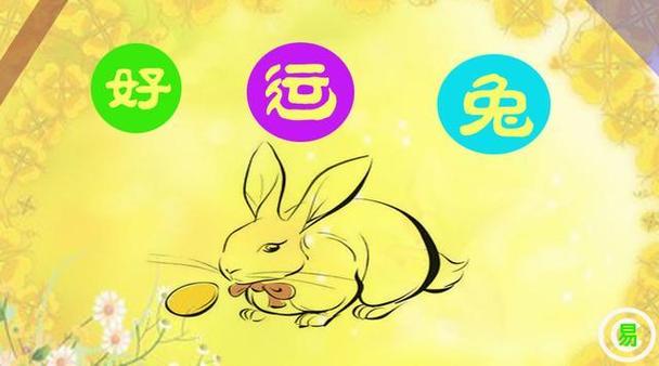 生肖兔求财吉凶与开运方法