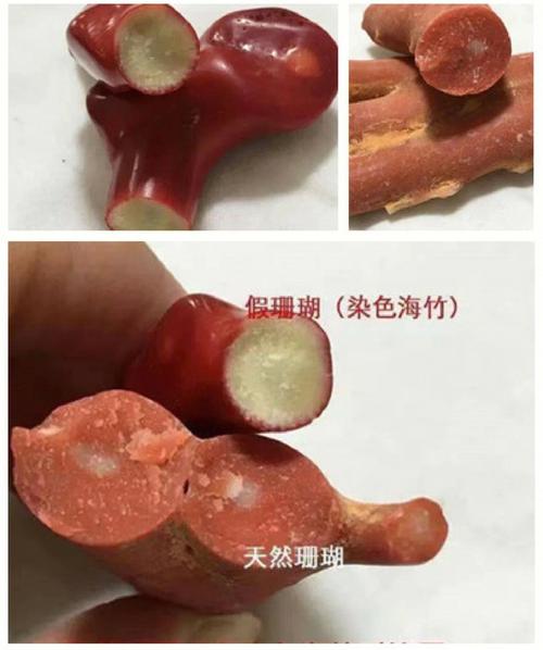 红珊瑚的真假如何鉴别呢