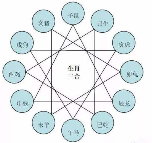 属猪的人结婚对象宜忌表