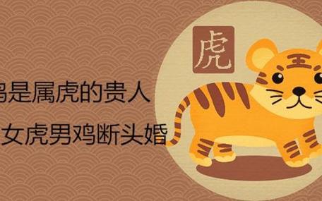 属虎属鸡断头婚