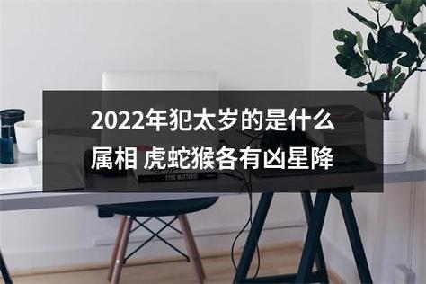 2022年命犯凶星属相