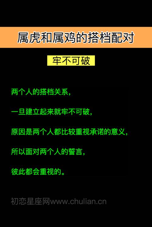 属鸡在面对相亲时都是什么态度