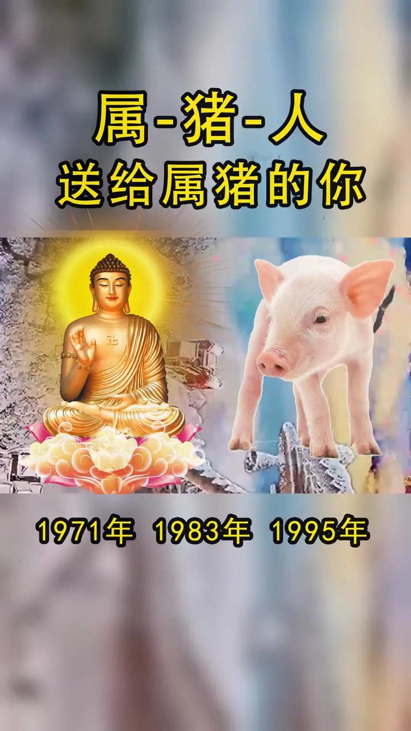 解析生肖猪的真实特点
