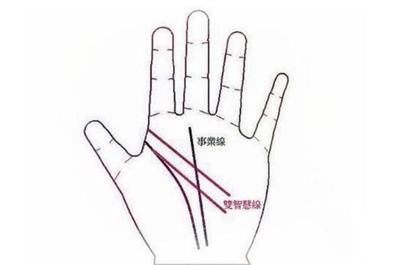 智慧线两条代表什么