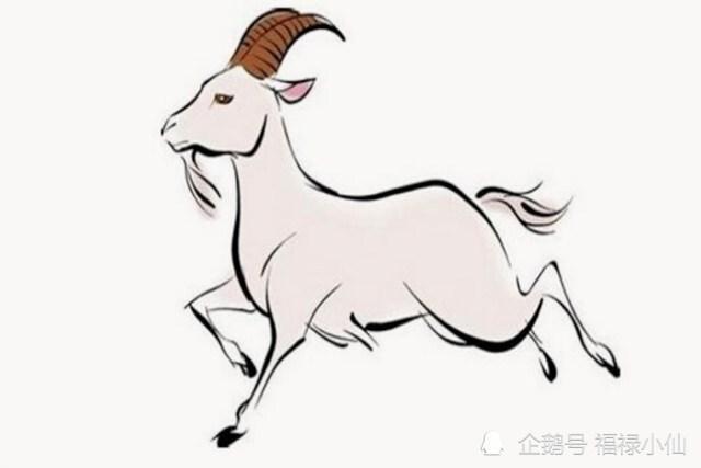 生肖羊遇到什么事最能锻炼适应力